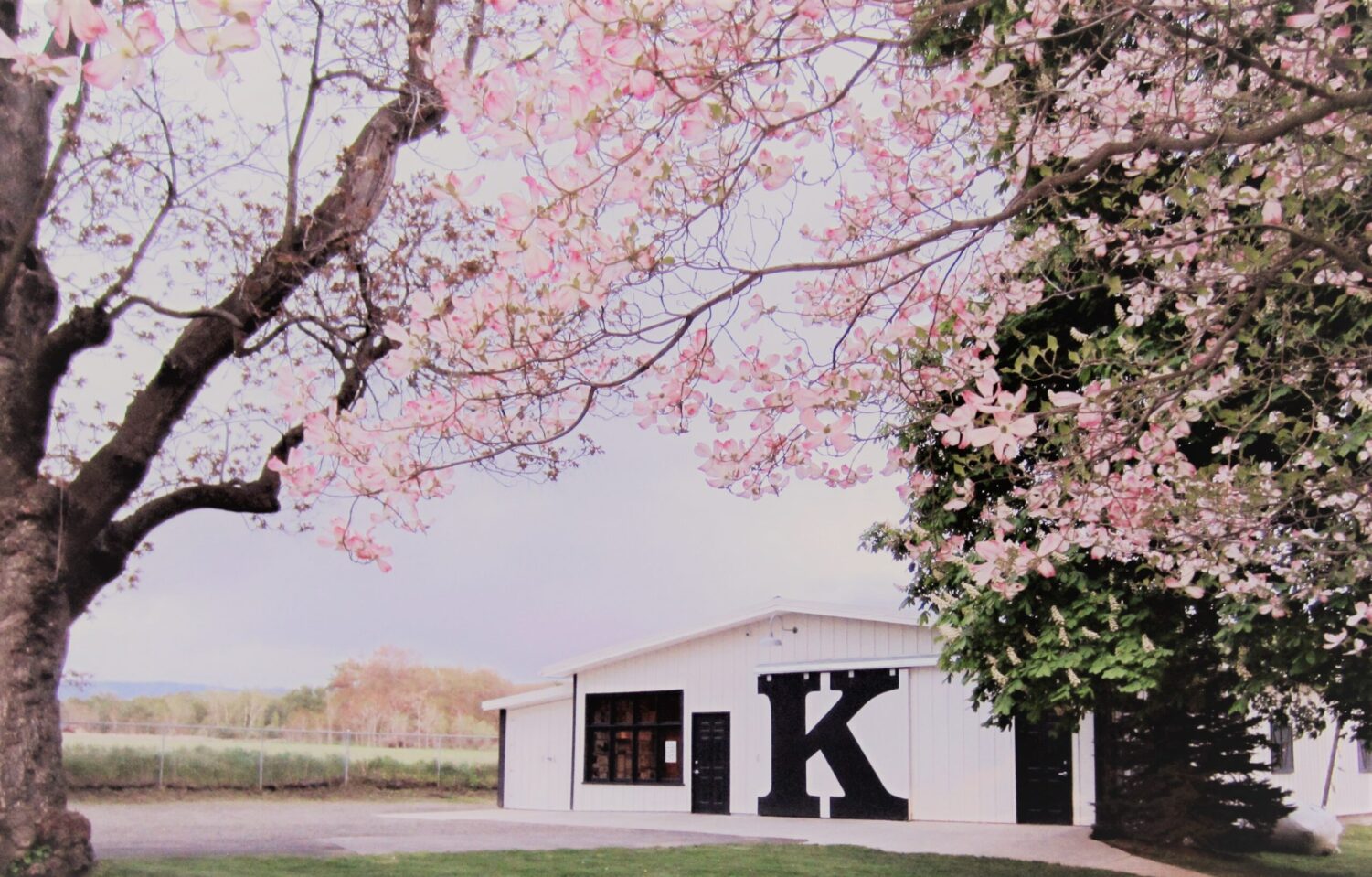 A beautiful photo of the original K Vintners tasting room from outside with pink flowers in bloom